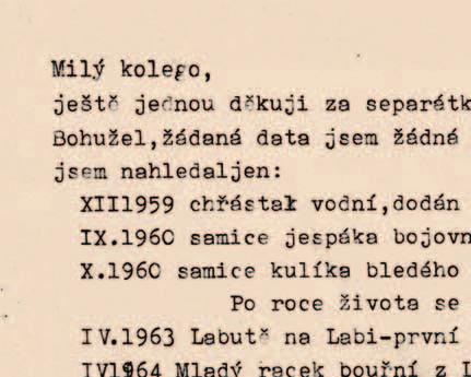 čísla zpravodaje.