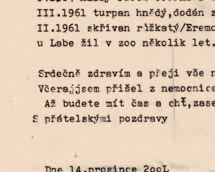 Vyvrcholením vydařené akce bylo kroužkování odchycených pěvců.