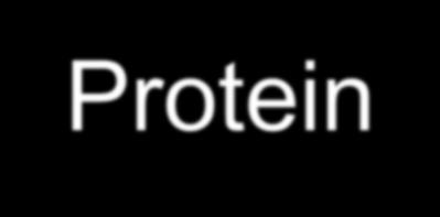 Protein (Bílkovina) = molekula složená z jednoho nebo více polypeptidových řetězců, které jsou lineárními řetězci