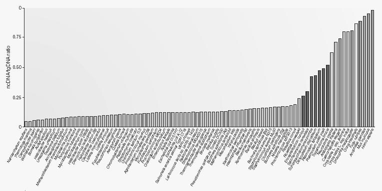 RNA regulace