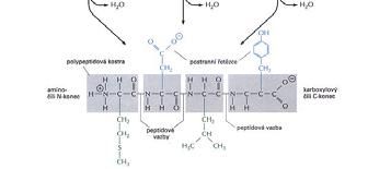 , Current pinion in Chemical Biology 8 (2004) 672 689.