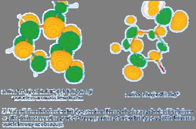 2-aminopurin za 10 8 s A. Abo-Ruiz et al., PAS 102 (2005) 20 23. D.