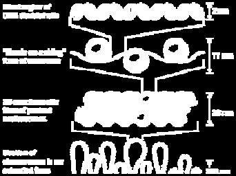 Shih et al. ature 427 (2004) 618 621.