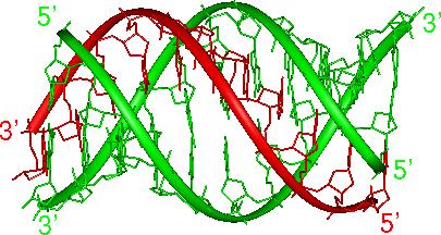 DNA triplex třetí