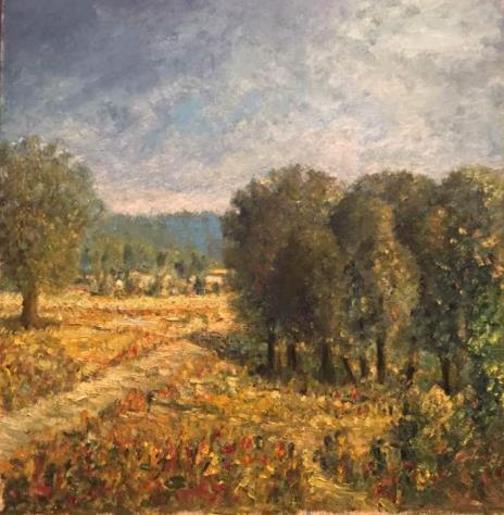 Vstupní anamnéza S.Z.