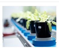 Laboratórium produkčnej fyziológie a ekofyziológie rastlín Vedúca: doc. Ing. Katarína Olšovská, PhD. Tel.: +421 37 64 14 442 E-mail: katarina.olsovska@uniag.