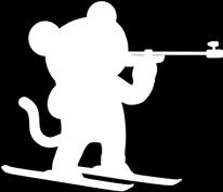 Na programu alpského lyžování spolupracují kluby Ski Bílá, Sokol Mosty, TC Praděd a SK Annaberg.