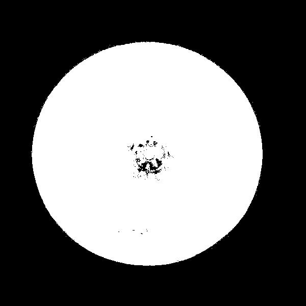 163 ŠTÍT