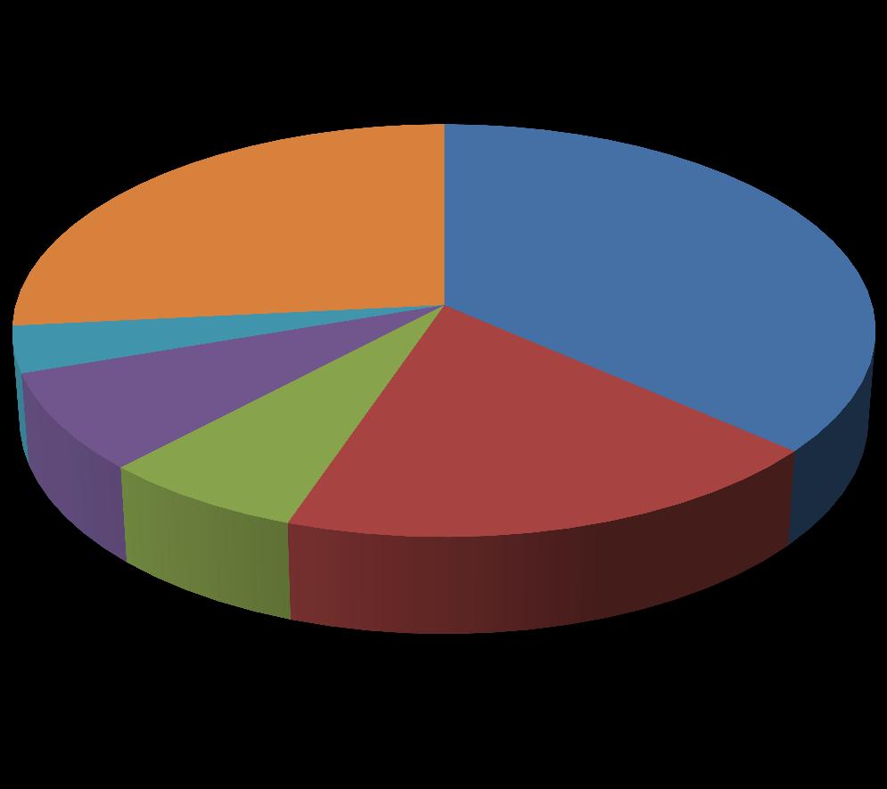 Statistika nejčastější typy žádostí ZOZ ZOZ obecná část 234; 26% 32; 4% 68; 8% 60; 7% 165; 19% 321; 36%