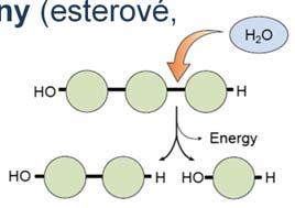 vady Navlhavost polymerů Chemické účinky vody Hydrolýza rozdělení makromolekuly na dvě části hydroxyl.