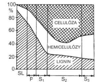 3.3.1 Chemické složení buněčné stěny Buněčné stěny dřevin se z chemického hlediska skládají z celulózy, hemicelulózy a ligninu.