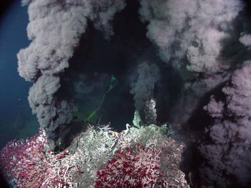 Hydrotermální průduchy Objevení drobných