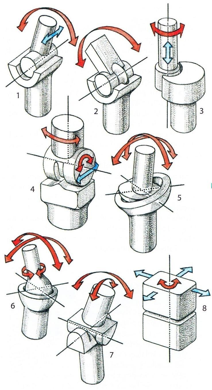 Obr. 18 Geometrické tvary kloubních ploch a směry realizovatelných pohybů 107 1 válcový kloub (šarnýrový), 2 kladkový kloub, 3 válcový kloub (kolový), 4 varianta kladkového kloubu (vodící
