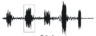 mezi obálkou zvuku a časovým vzorem neuronové aktivity (PSTH) pro všechny zvuky s výjimkou zvuku chirp, což je krátký impuls, který vyvolává prakticky identickou odpověď ve všech sledovaných