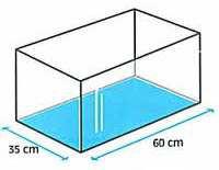 Jaký hydrostatický tlak působí na ponorku v hloubce 0,25 km pod hladinou moře? (ς = 1 030kg/m3) 6. Akvárium se čtvercovým dnem o straně 0,5 m je zaplněno vodou do výšky 0,4 m.