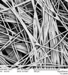 In vitro