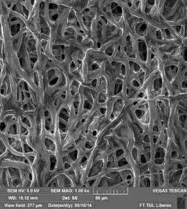 copolymer Cross-section Morphology