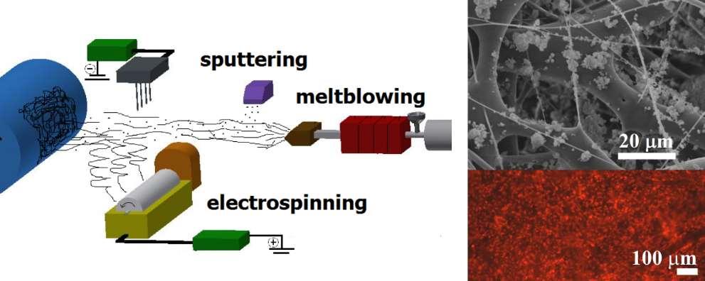 Department of Nonwovens and Nanofibrous Materials 3D micro-nano fibrous scaffolds prepared by meltblwon and