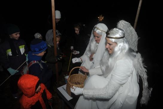 ročníku Bezručovy Opavy bylo předáno nejvyšší ocenění města Opavy v oblasti kultury - Cena Petra Bezruče