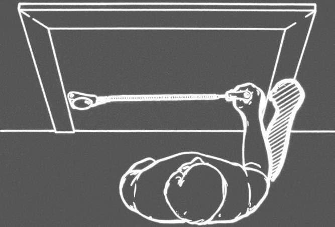 Obrázek 23. Posilování vnitřních rotátorů. (Brems, 2007). Posilování zevních rotátorů Princip cvičení je obdobný jako u vnitřních rotátorů. Pacient stojí bokem k posilovacímu zařízení.