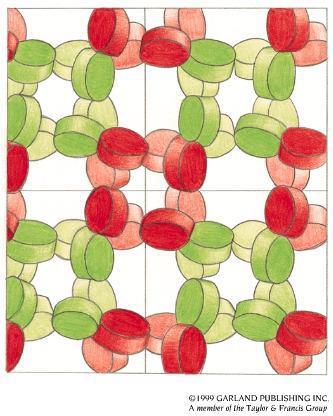 Crystal Contacts Protein crystals contain a lot of