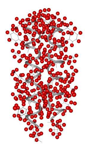 NMR proteinů Přiřazení pozorovaných 1 H rezonancí individuálním aminokyselinám. Protonové rezonance jsou často rozlišeny na základě rozdílů v chemickém posunu.