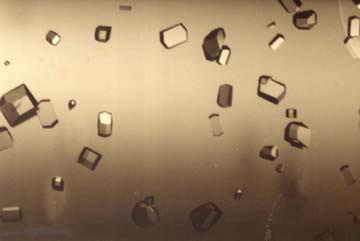 X-ray