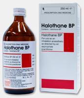 Rodiny CYPů v metabolismu xenobiotik Reakce
