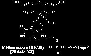 Fluorofor