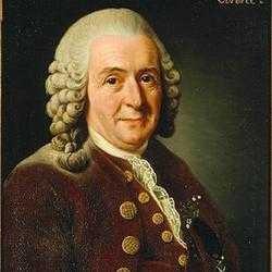 Carl Linnaeus (1707-1770) binomická nomenklatura Species plantarum (1753) Systema