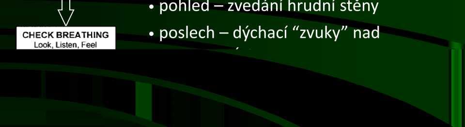 1. Zajistit bezpečnost dítěte i zachránce 2.