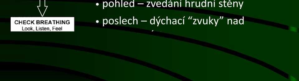 dýchacích cest 3.