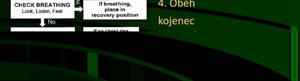 1. Zajistit bezpečnost dítěte i zachránce 2. Stav vědomí: stimulace + oslovení otevření dýchacích cest Yes 3. Dýchání No 4.