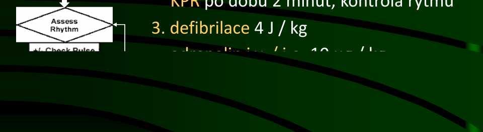 defibrilace 4 J / kg KPR po dobu 2 minut, kontrola rytmu 3.