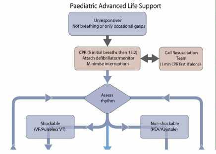 Paediatric