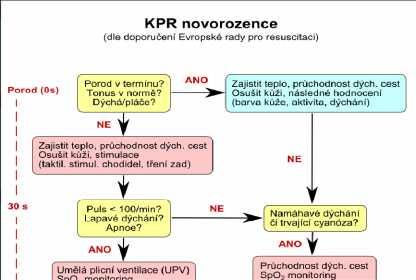 KPR novorozence