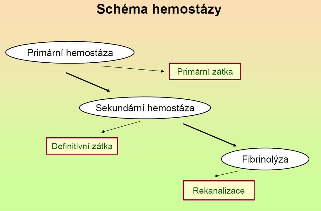 Při poškození cévního endotelu (mechanickém, chemickém, biologickém) je zahájen proces srážení kombinovanou adhezivní reakcí, která zahrnuje jak krevní destičky, tak ostatní buňky nebo látky