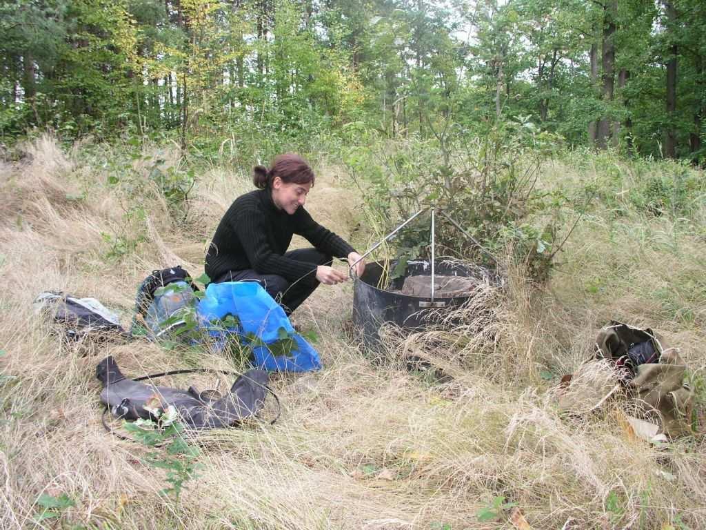 Emergenční pasti: Pozemní fotoeklektory (zde