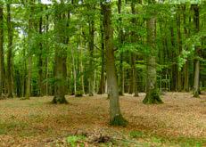 socio-environmentální