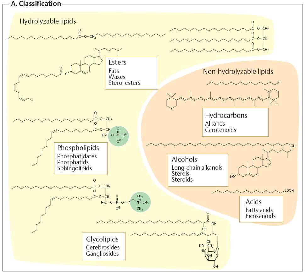 Hydrolyzovatelné lipidy Nehydrolyzovatelné lipidy Převzato z knihy: J.