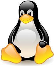 Granulární obnova souborů na Linuxu Rozšíření této schopnosti na RHEL a SLES Není potřeba další hardware Windows VMware Backup Host podporuje Linuxové virtuální stroje Separátní Linux backup host