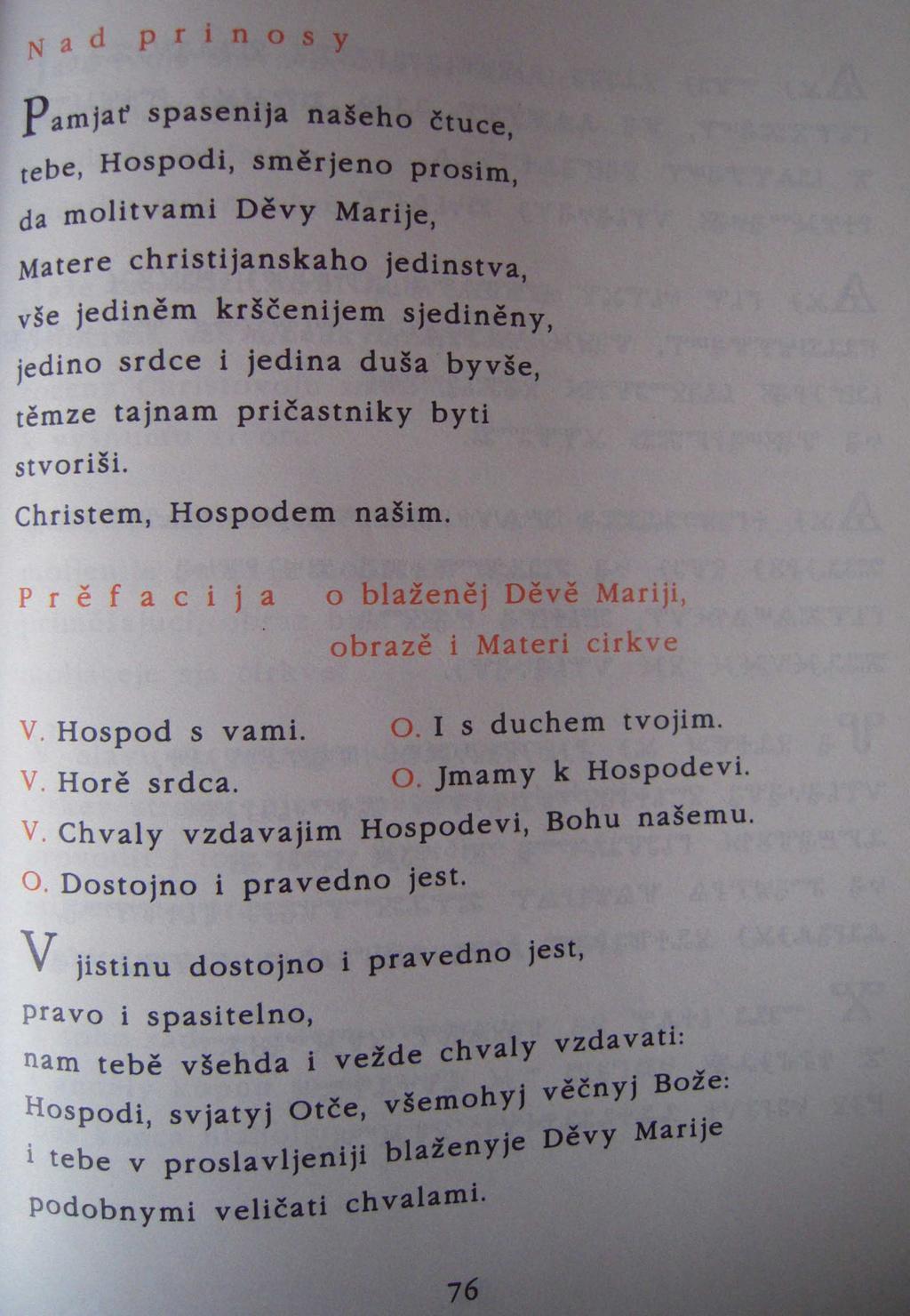 Příloha č.