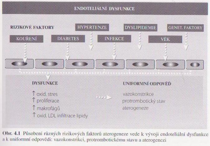 angina pectoris, městnává srdeční slabost nebo různé poruchy srdečního rytmu, choroba dolních končetin, cévní mozková příhoda a jejich komplikace (1). 3.