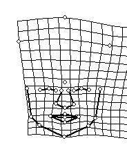 a) b) Obrázek 7.22: vizualizace RW3, pomocí deformační mřížky je zobrazen vliv RW3.