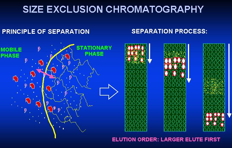 Vylučovací chromatografie Separace molekul na základě jejich molekulové