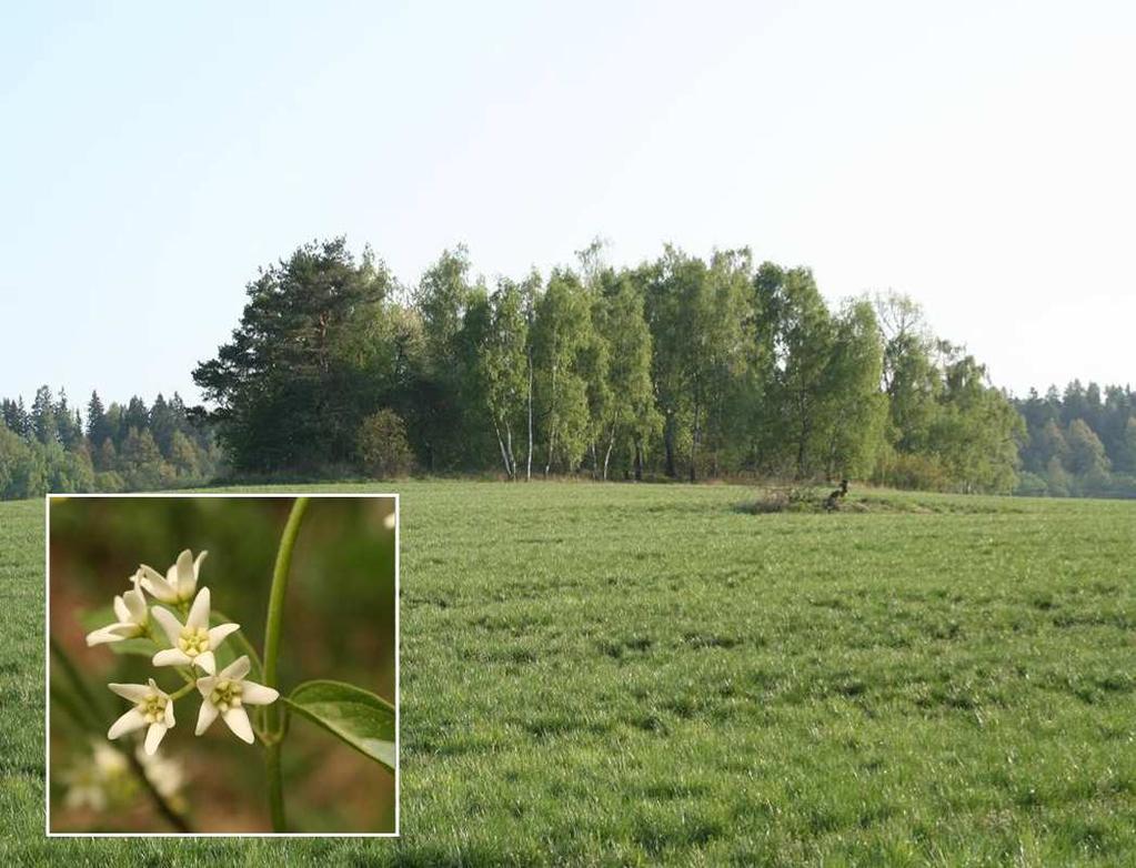 Botanický průzkum lokality Brdek nad škrobárnou Ester Ekrtová & Libor Ekrt 2009 Katedra botaniky, Přírodovědecká fakulta, Jihočeská univerzita v Českých Budějovicích, Branišovská 31,