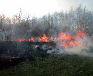 HZS Zlínského kraje, Statistická ročenka 2015 21 3. Základní statistické údaje o událostech typu požár V roce 2015 bylo ve Zlínském kraji zaznamenáno 723 (o 83 více než roce 2014) požárů.