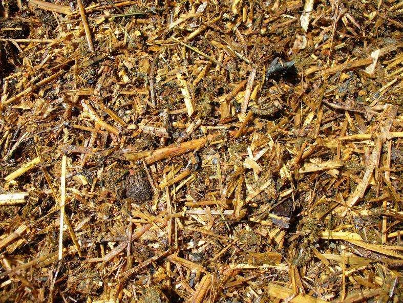objemovo) a 150 l hnojovice, experiment v prevádzkových podmienkach