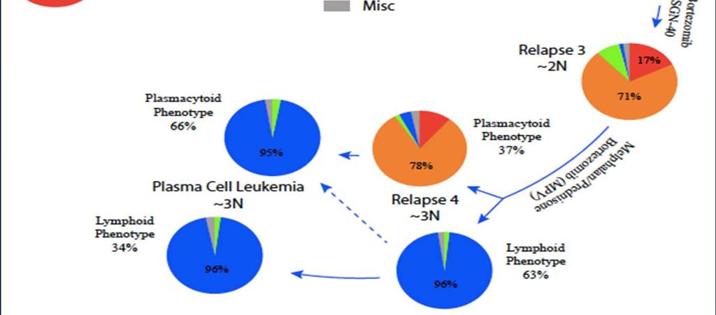 Dynamika klonálního vývoje v průběhu opakovaných relapsů