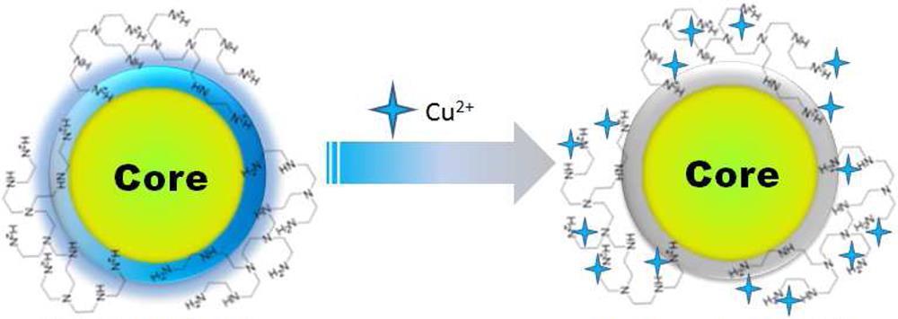 Přímá interkace QDs a molekul přímá interkace s QDs je využívána k detekci iontů (Cu 2+, Fe 3+ ), chlóru v pitné vodě,